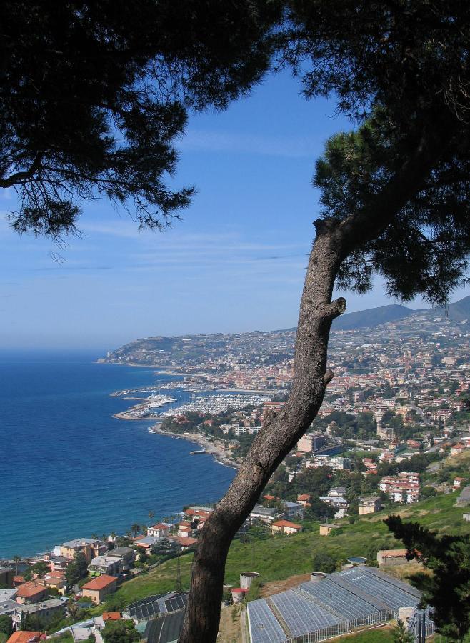 Maison Du Port Vieux Leilighet Sanremo Eksteriør bilde